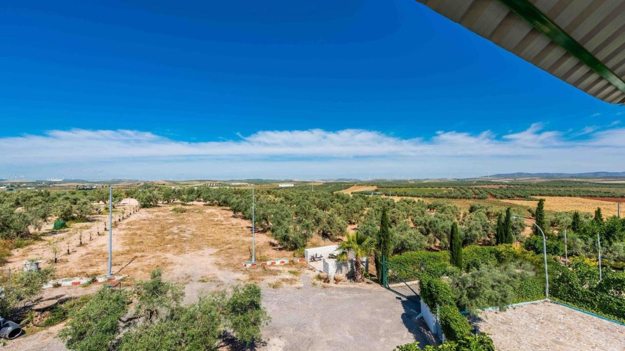 Cortijo El Vinculo Campillos By Ruralidays مالقة المظهر الخارجي الصورة
